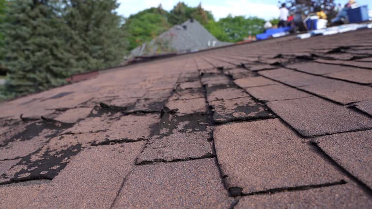 4 Ply Roofing in North East, MD